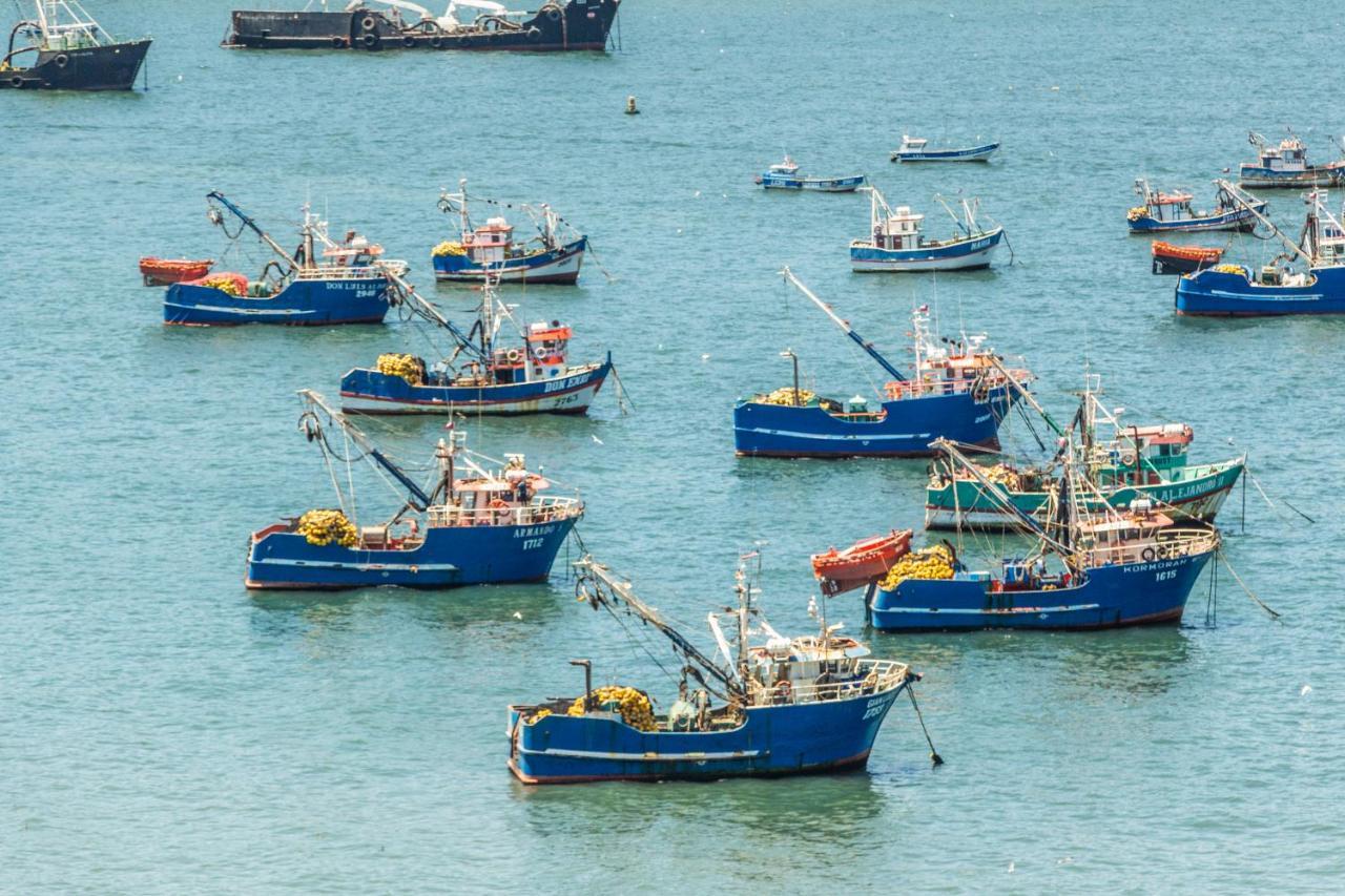 Mds Hotel Concepcion Ngoại thất bức ảnh Fishing boats in the harbour